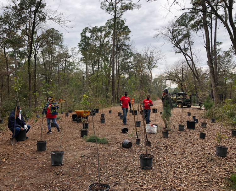treeplanting_3.png treeplanting_3.png