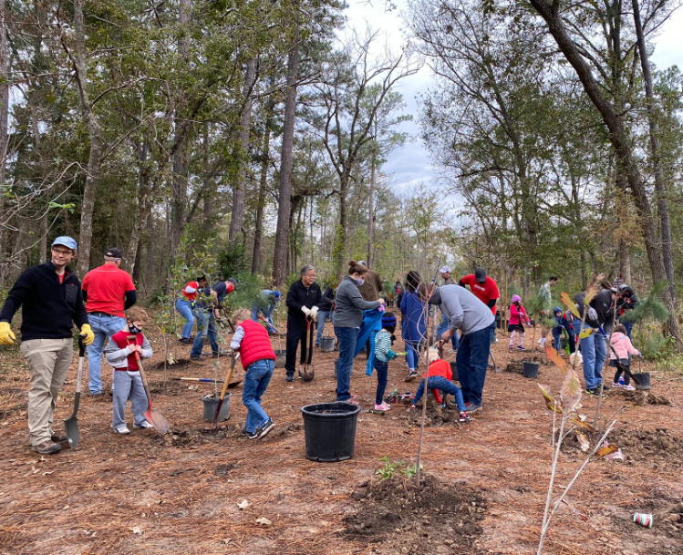 treeplanting_1.png treeplanting_1.png