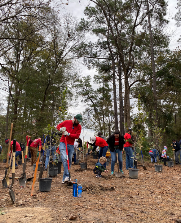 treeplanting_2.png treeplanting_2.png