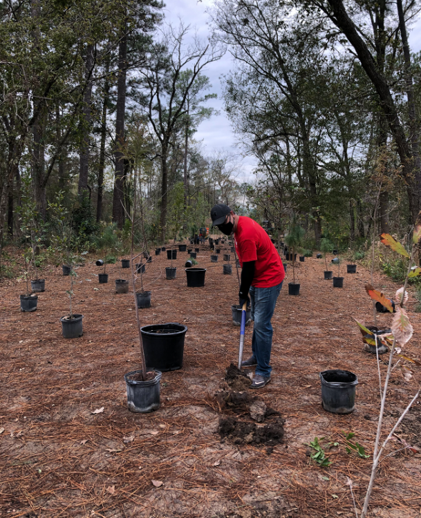 treeplanting_4.png treeplanting_4.png